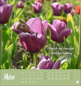 Eichelmännchen Postkartenkalender 2022