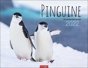 Pinguine Kalender 2022