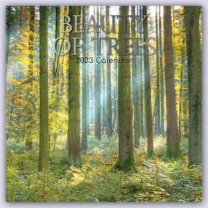 Beauty of Trees - Die Schönheit der Bäume 2023 - 16-Monatskalender