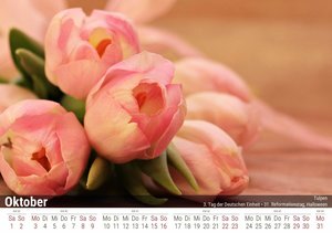 Tulpen - Die Farbe macht die Blume 2022 - Timokrates Kalender, Tischkalender, Bildkalender - DIN A5 (21 x 15 cm)