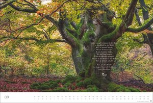 Der deutsche Wald - Ein literarischer Spaziergang Kalender 2026 - Ein literarischer Spaziergang