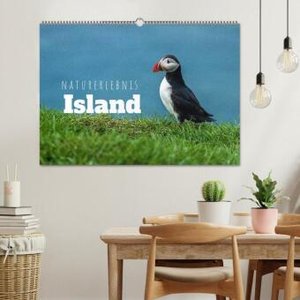 Naturerlebnis Island (Wandkalender 2024 DIN A2 quer), CALVENDO Monatskalender