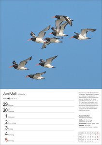 Heimische Vögel Wochenplaner 2026