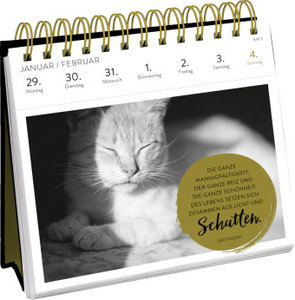 Postkartenkalender 2024: Inspirierende Worte für Katzenfreunde