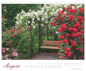 Im Rosengarten 2025 - DUMONT Garten-Kalender - Querformat 52 x 42,5 cm - Spiralbindung