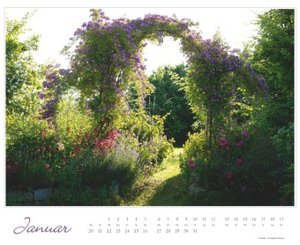 Im Rosengarten 2025 - DUMONT Garten-Kalender - Querformat 52 x 42,5 cm - Spiralbindung