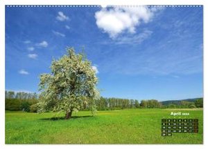 Spaziergang an der Donau (Wandkalender 2024 DIN A2 quer), CALVENDO Monatskalender