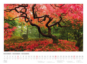 Japanese Garden  2022