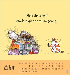Catzz Postkartenkalender 2026