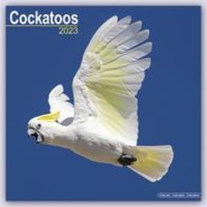 Cockatoos - Kakadus 2023 - 16-Monatskalender