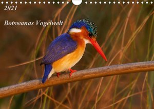 Botswanas Vogelwelt (Wandkalender 2021 DIN A4 quer)