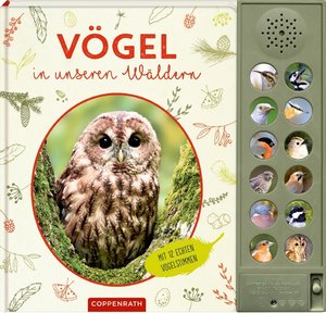 Vögel in unseren Wäldern (Soundbuch)