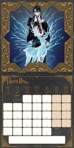 Pyramid – Harry Potter (Magical) 2025 Broschürenkalender, 30x30cm, Kalender für Fans der Harry-Potter-Welt, Wandkalender mit magischen Szenen und Charakteren, nachhaltig nur mit Papierumschlag