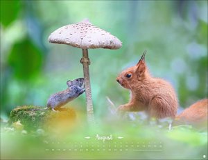 Vadim Trunov: Märchenhaftes Waldleben Posterkalender 2026