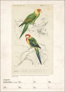 Bunte Vogelwelt Wochenplaner 2024: 53 historische Tafeln mit Vogeldarstellungen in einem hochwertigen Wandkalender. Tierkalender 2024 für kunstbegeisterte Vogelliebhaber