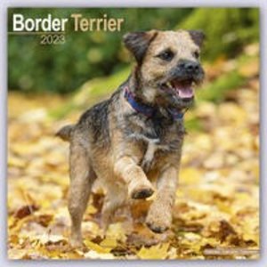 Border Terrier 2023 - 16-Monatskalender