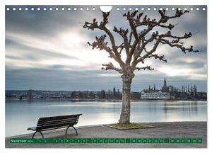 Sanfte Riesen - Bäume zum Träumen (Wandkalender 2024 DIN A4 quer), CALVENDO Monatskalender