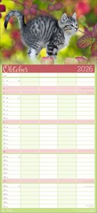 Cool Cats Familienplaner 2026