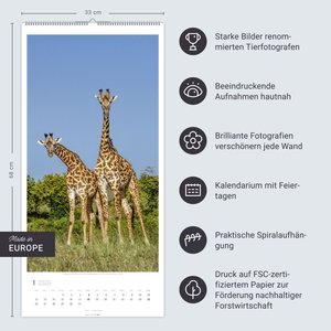 Giraffen Kalender 2026