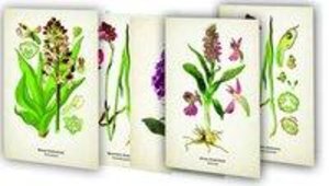 Kunstklappkarten \"Zauberhafte Orchideen\"