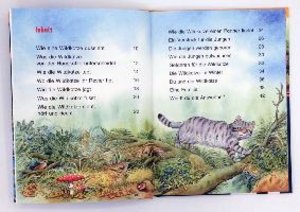 Sachwissen für Erstleser: Die Wildkatze