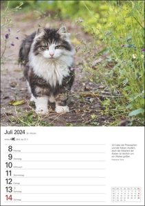 Katzen Wochenplaner. Wandkalender 2024 mit Platz für Notizen und vielen süßen Katzenfotos. Tierkalender 2024 mit praktischer Wochenansicht. Hochformat 25 x 35,5 cm