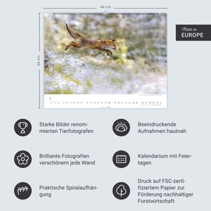 Heimische Wildtiere 2026