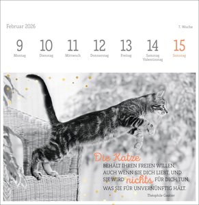 Katzen Weisheiten Premium-Postkartenkalender 2026
