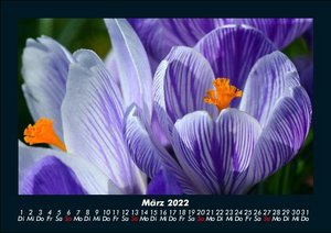 Bilder aus der Natur 2022 Fotokalender DIN A5