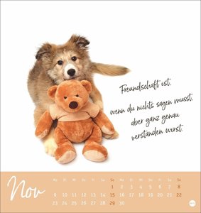 Ziemlich beste Freunde Postkartenkalender 2026