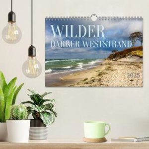 Wilder Darßer Weststrand (Wandkalender 2025 DIN A4 quer), CALVENDO Monatskalender