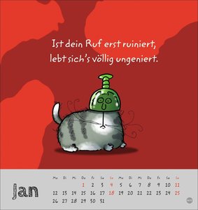 Catzz Postkartenkalender 2026