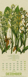 Wildwuchs - Botanische Illustrationen - Graspapier-Kalender 2023