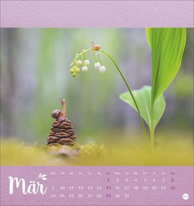 Vadim Trunov: Märchenhaftes Waldleben Postkartenkalender 2026