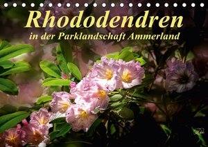 Rhododendren in der Parklandschaft Ammerland