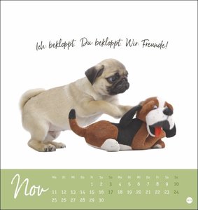Ziemlich beste Freunde Postkartenkalender 2024. Postkarten-Fotokalender mit Hunden und ihren Lieblingsstofftieren. Kleiner Kalender voll süßer Bilder und lustiger Sprüche.