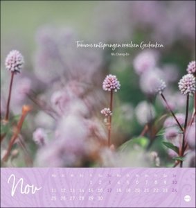 Zeit zum Träumen Postkartenkalender 2024. Fotokalender mit perforierten Postkarten voll schöner Motive und liebevoller Gedanken. Monats-Tischkalender zum Aufstellen oder Aufhängen. 16 x 17 cm
