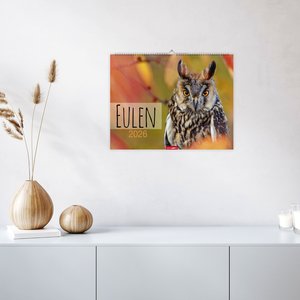 Eulen 2026
