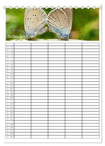 Schmetterlinge: Filigrane Flieger / Familienkalender (Tischkalender 2024 DIN A5 hoch), CALVENDO Monatskalender
