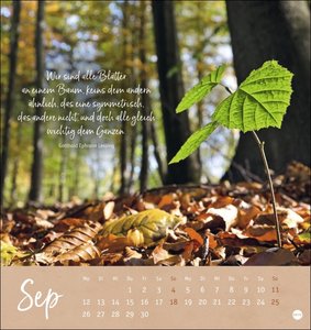 Unser Wald Postkartenkalender 2022