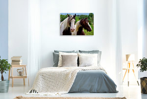 Premium Textil-Leinwand 90 cm x 60 cm quer Zwei Pferde