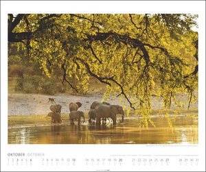 Elefanten Kalender 2024. Die sanften Riesen Afrikas, porträtiert in einem großen Wand-Kalender. Hochwertiger Fotokalender voll beeindruckender Aufnahmen. 55x46 cm Querformat