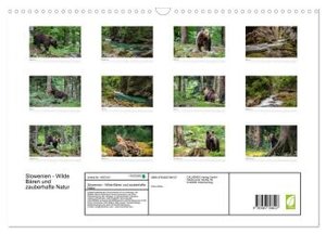 Slowenien - Wilde Bären und zauberhafte Natur (Wandkalender 2024 DIN A3 quer), CALVENDO Monatskalender
