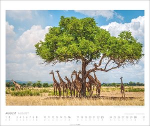 African Wildlife Kalender 2026