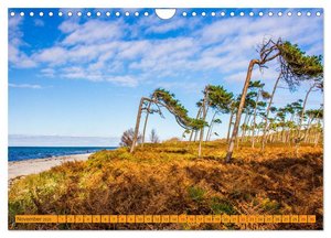 Wilder Darßer Weststrand (Wandkalender 2025 DIN A4 quer), CALVENDO Monatskalender