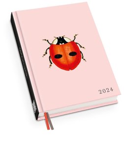 Taschenkalender Marienkäfer 2024 - Von 30x40 - Terminplaner mit Wochenkalendarium - Format 11,3 x 16,3 cm
