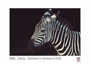 Zebras - Schönheit in Schwarz & Weiß 2022 - White Edition - Timokrates Kalender, Wandkalender, Bildkalender - DIN A4 (ca. 30 x 21 cm)