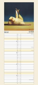 Lucia Heffernan: Yoga Chicks Planer 2025 – Wandkalender – Notiz-Kalender mit 2 Spalten – Format 22 x 49,5 cm