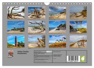 Wilder Darßer Weststrand (Wandkalender 2025 DIN A4 quer), CALVENDO Monatskalender