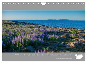 Naturerlebnis Island (Wandkalender 2024 DIN A4 quer), CALVENDO Monatskalender